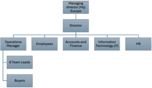XYZ Organisation structure summary