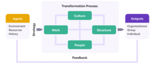 Nadler-Tushman Congruence Model