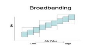 Broad-Banded Pay Structure