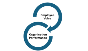 Employee Voice and Organisation Performance