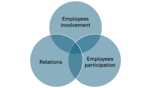 Employees participation and involvement relationship