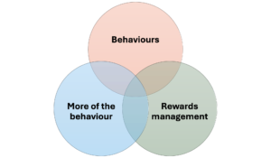 Extrinsic and intrinsic rewards analysis summary
