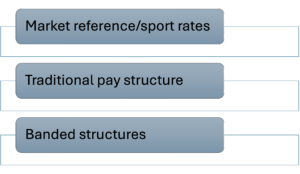 Grade and Pay Structures