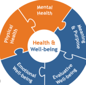 Health and wellbeing components