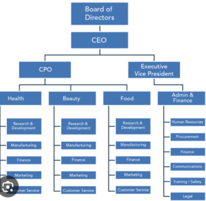 Hierarchical Bureaucratic Organisational Structure