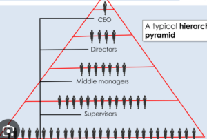 Hierarchical bureaucratic structure