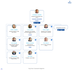 Hilton Divisional Organisation Structure
