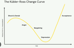 Kubler-Ross Curve Model