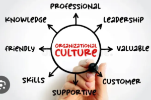 Organisational culture