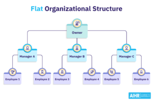 Flat Organisational Structure