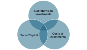 Return on Investment (ROI)