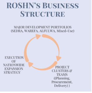 Summary of ROSHN Business Structure and Investments