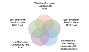 Summary of the HWE Trusts