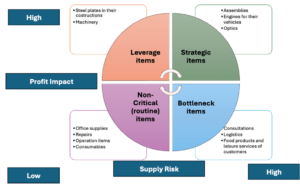 Summary of the Kraljic Matrix Analysis