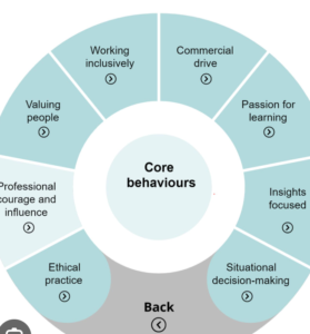 Values and beaviours