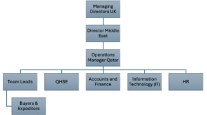 XYZ Organisation structure summary