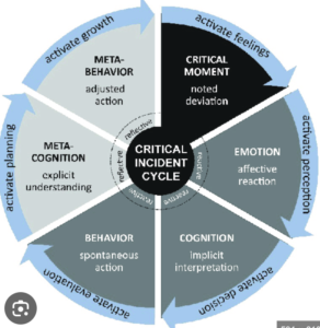 Critical Incident Analysis