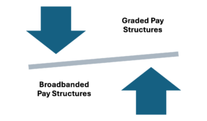 Differences Between Types of Grade and Pay Structures