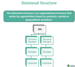 Divisional Organisation Structure