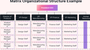 Example of Matrix Organisation Structure