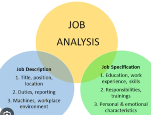 job Description