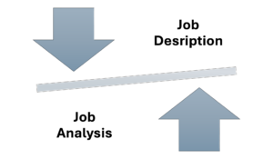 Job Desciption and Job Analysis