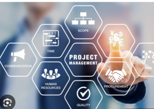 Project management