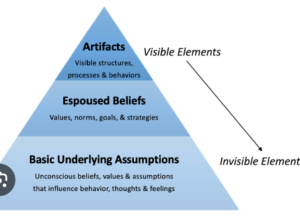 Schein’s model