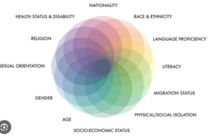 diversity components