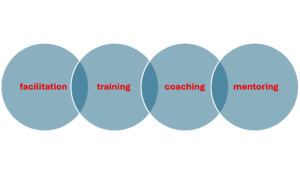 • facilitation • training 
• coaching 
• mentoring. 

