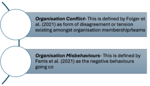 Organisational conflict and misbehaviour