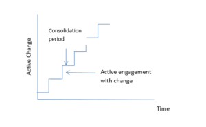 Rational Incremental Change