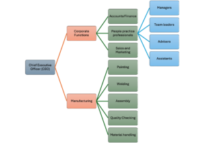 Artiron Motors Divisional Organisation Structure