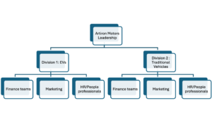 Matrix Organisation Structure